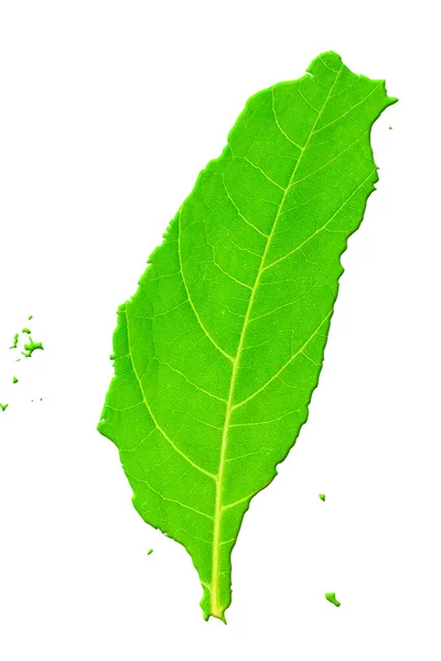 Map Taiwan Green Leaf Texture White Isolated Background Ecology Climate — Stock Photo, Image