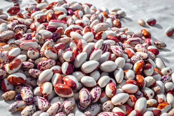 Pinto Kidney Beans Lies Heap Dries Selective Focus Protein Food — Stock Photo, Image