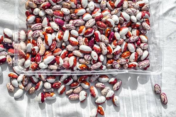 Colorful Kidney Beans Plastic Tray Box Table Top View — Stock Photo, Image