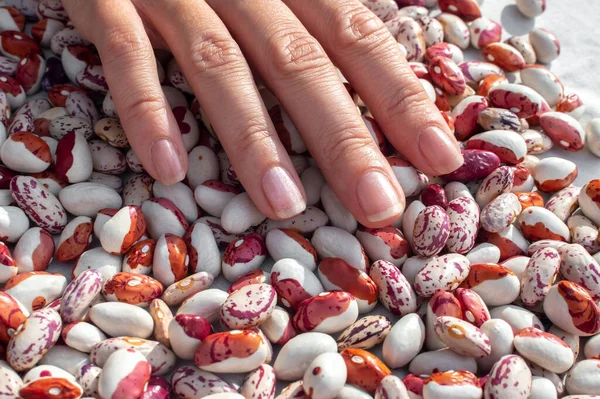 Fingers Young Woman Hand Stirring Pile Pinto Kidney Beans — Stock Photo, Image