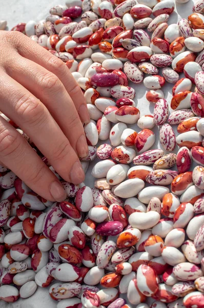 Fingers Young Woman Hand Stirring Pile Pinto Kidney Beans — Stock Photo, Image