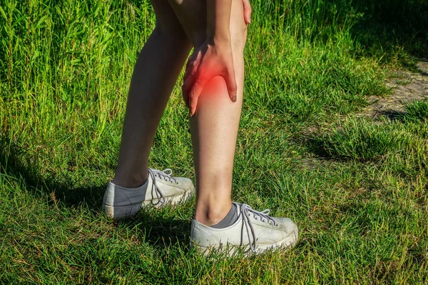 Cramps in leg calves or sprain calf on runner. Sports injury concept with running girl. Running in the countryside on soft grass. Back view. The place of pain is highlighted in red. — Stock Image Cramps Leg Calves Sprain Calf Runner Sports Injury Concept Running Royalty Free Stock Images