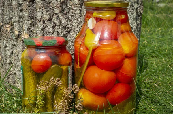 Big glass jars with ripe marinated homemade tomatoes and Jar with pickled gherkins. Autumn, harvest time. — Stock Photo, Image