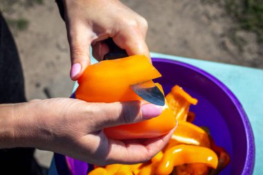 Kadının eli olgun biberleri keser. Plastik bir salata kasesine düşen doğranmış biber parçaları. Dışarıdaki masada sebze salatası pişiren kadın. Bahçe partisi için hazırlık yemeği..