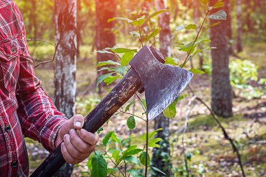 Ekose gömlekli bir oduncu ağacı keserken baltasını sallıyor. Ormanda elinde balta tutan bir oduncunun yakın çekimi.