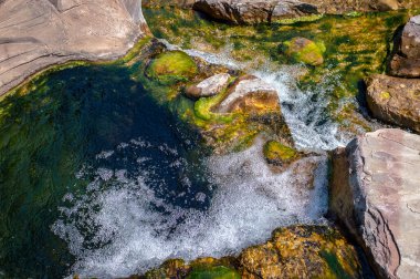 Küçük dereler yosunlu taşlarla çevrili. Taştan akan su sayısız kabarcık yaratır. Dağ akıntısı üst görünümü.