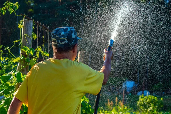 Seorang Pria Tua Menyirami Taman Pada Malam Yang Cerah Menaburkan — Stok Foto