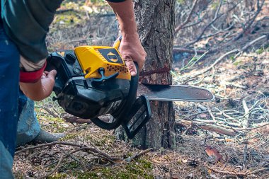 Elektrikli testere ormanda bir ağacı testereyle keser. Ağaçları kesmek, orman tahribatı. Ağaç gövdesinin alt kısmını kapatın. Görüntü