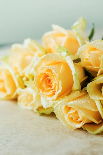 Beautiful Orange Roses Light Concrete Background Horizontal Composition Text Congratulations — Stock Photo, Image