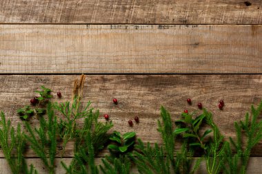 Ahşap bir arka planda Chanterelles ve orman yosunları. Model yap. Üst görünüm.