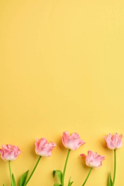 Sarı arka planda pembe lale çiçekleri. Tebrik kartı. Kopyalama alanı ile.