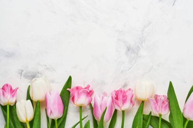 Beyaz arka planda pembe ve beyaz laleler. Çiçek deseni. Tebrik kartı. Model yap. Metin için boşluk.