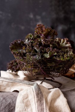 Kale eski ahşap bir arka planda metal bir sepetin içinde taze yeşil kıvırcık bırakır. Seçici odaklanma. Sağlıklı vejetaryen yemekleri.