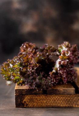 Kale eski ahşap bir arka planda kesme tahtasına taze yeşil kıvırcık bırakır. Seçici odaklanma. Sağlıklı vejetaryen yemekleri.