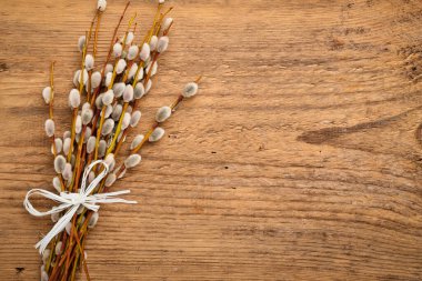 Easter composition with Pussy willows branches on wooden background. Festive concept or greeting card with copy space. Flat lay, top view.