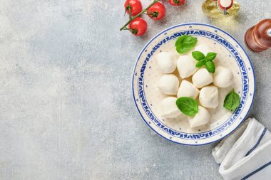 Beyaz seramik tabakta fesleğenli Mozzarella peyniri ve kayrak taşı zemin üzerinde domates vişnesi, kopyalama alanı. Model yap. Caprese salatası için malzemeler.