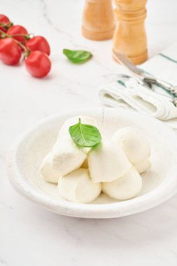 Beyaz seramik tabakta fesleğenli Mozzarella peyniri ve kayrak taşı zemin üzerinde domates vişnesi, kopyalama alanı. Model yap. Caprese salatası için malzemeler.