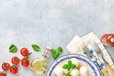 Beyaz seramik tabakta fesleğenli Mozzarella peyniri domates vişneli zeytinyağı ve baharat öğütücü, baharatlar, arkaplanda biberli domates vişnesi. Model yap. Caprese salatası için malzemeler.