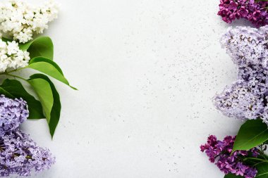 Gri arka planda güzel beyaz ve mor leylak demeti. Üst Manzara. Düğünler için şakayıklı kutlama kartı, Sevgililer Günü ve Anneler Günü.