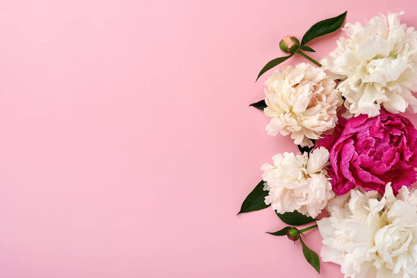 Beautiful red, pink and white peony flowers bouquet over pink background, top view, copy space, flat-lay. Valentines, Wedding and Mothers day background.