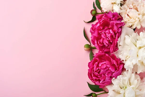 Beau Bouquet Fleurs Pivoine Rouge Rose Blanc Sur Fond Rose — Photo