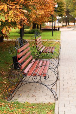 Sonbahar parkı bankı ve parlak renkli yapraklı manzara. Sonbahar arka planda kalır. Üst görünüm.