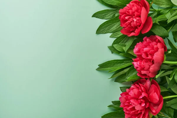 Beau Bouquet Fleurs Pivoine Rouge Sur Fond Vert Vue Sur — Photo