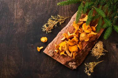 Orman mantarları ve orman yosunları eski ahşap bir arka planda. Kahverengi desenli arka planda rafadan tabakta pişmemiş çiğ. Model yap. Üst görünüm.