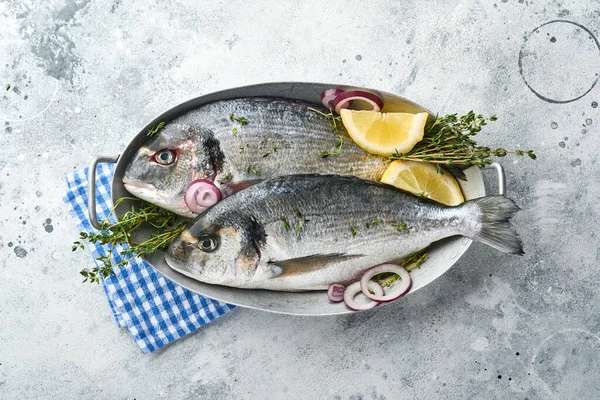 Çiğ dorado taze balığı ya da limon, kekik, sarımsak, kiraz, domates ve açık gri kayrak, taş ya da beton arkaplanda tuz yapımında kullanılan malzemelerle birlikte deniz çerezi. Kopyalama alanı olan üst görünüm.