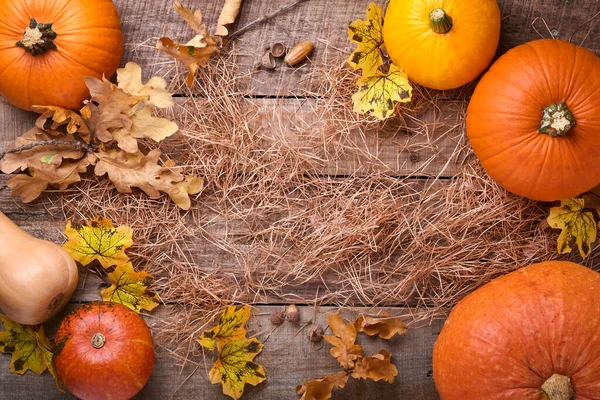 Kürnach Herbstliches Essen Mit Zimt Nüssen Und Saisonalen Gewürzen Auf — Stockfoto