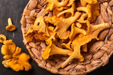 Orman mantarları ve orman yosunları eski ahşap bir arka planda. Kahverengi desenli arka planda rafadan tabakta pişmemiş çiğ. Model yap. Üst görünüm.