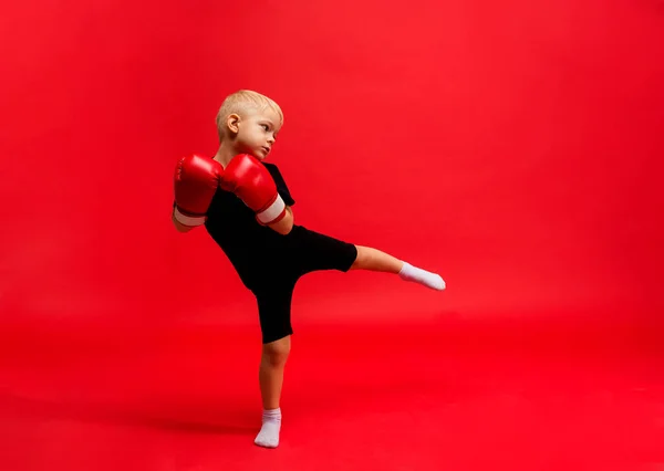 Ein Kleiner Junge Boxer Steht Boxhandschuhen Und Macht Einen Ausfallschritt — Stockfoto