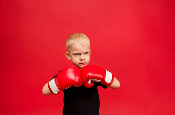 Агрессивный Маленький Мальчик Боксер Красных Боксерских Перчатках Красном Фоне Пространством — стоковое фото