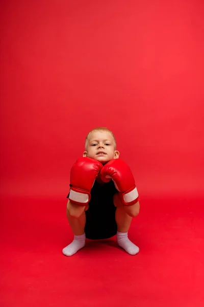 Маленький Мальчик Боксер Приседает Красных Боксерских Перчатках Красном Фоне Пространством — стоковое фото