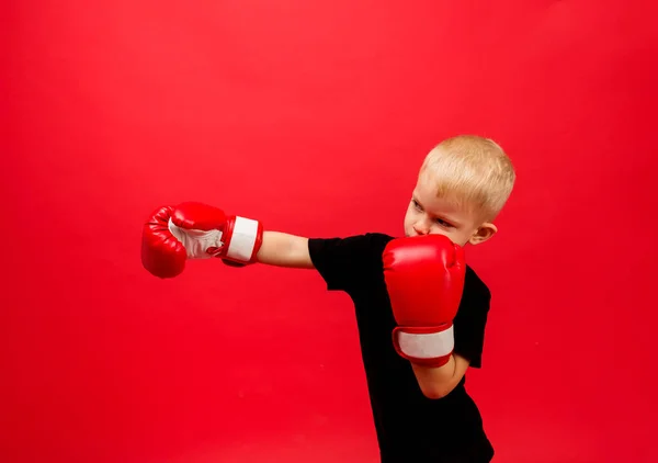 Un pequeño boxeador con guantes de boxeo rojos hace un puñetazo sobre un fondo rojo con espacio para el texto — Foto de Stock