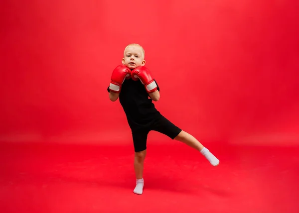 Kleinkind Boxer Steht Einem Ständer Mit Roten Boxhandschuhen Auf Rotem — Stockfoto