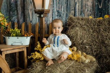 Şaşırmış bir kız bebek samanlıkta keten beyazı bir elbiseyle köylü usulü sarı ördek yavrularıyla oturuyor.