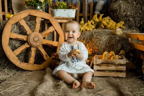 Beyaz keten elbiseli beyaz bir kız çocuğu, ördek yavrularıyla Paskalya Kuşağı 'nın ortasında oturuyor. Parlak Paskalya kutlamaları