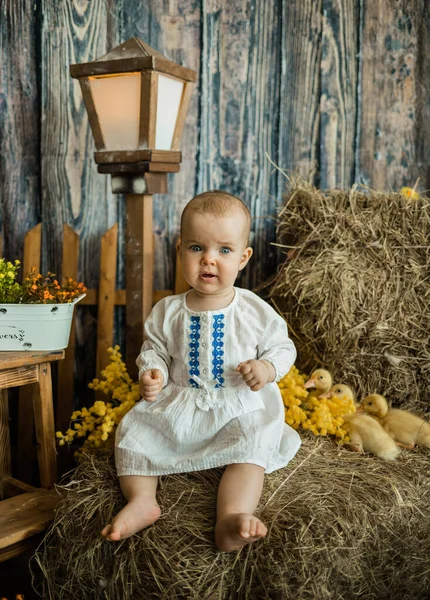 Menina Caucasiana Vestido Linho Branco Com Bordado Senta Palheiro Com — Fotografia de Stock