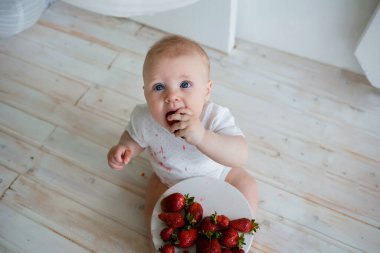 Beyaz arka planda çilek yiyen bir erkek bebeğin portresi. Mesaj için yer var. Üst görünüm
