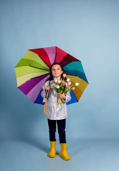 a cute girl in a raincoat and rubber boots holds a bouquet of tulips and a multi-colored umbrella on a blue background with a place for text
