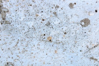 Pis, eski, beyaz beton duvar arkaplan dokusu