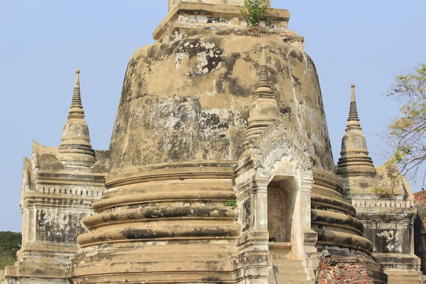 Pagoda in Ayutthaya — Stock Photo, Image
