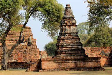 Pagoda Wat Chaiwatthanaram