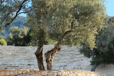 amfitiyatro Türkiye'de