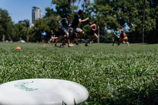 Επαγγελματική Frisbee Για Απόλυτη Frisbee Επικεντρώθηκε Και Στο Παρασκήνιο Παίκτες — Φωτογραφία Αρχείου