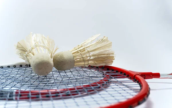 two red badmintong rackets together with Shuttlecocks on top. weird sports. unusual sports. youth sports.