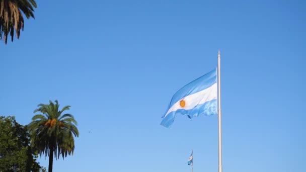 Duas Bandeiras Argentinas Acenando Vento Uma Pequena Bandeira Fundo Grande — Vídeo de Stock