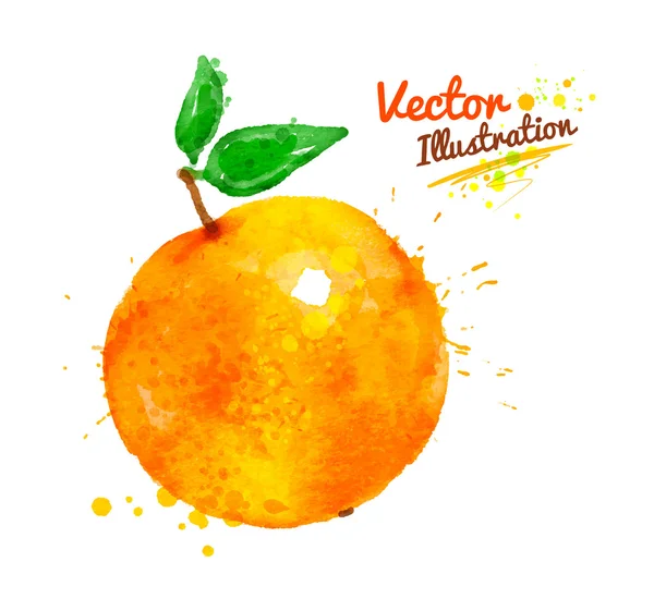 Orange watercolor Stock Vectors, Royalty Free Orange watercolor
