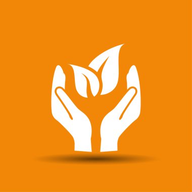 Eco, illüstrasyon resim